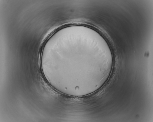 X0000114151224200911051435