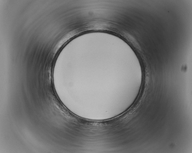 X0000114151226200911051435