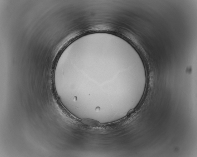 X0000114151229200911051435