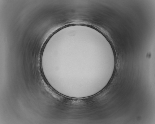 X0000114151231200911051435