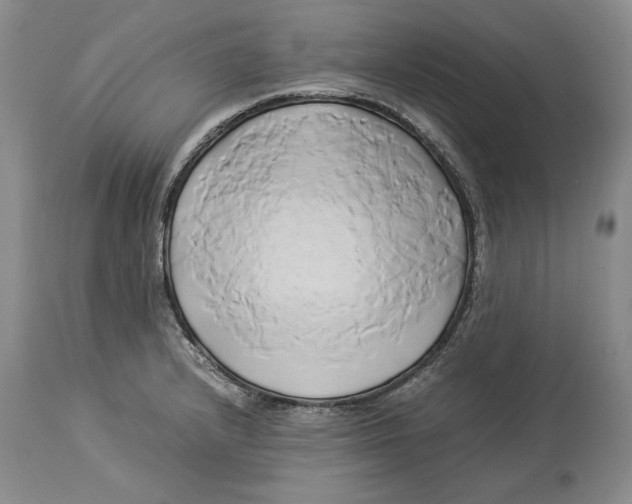 X0000114151232200911051435