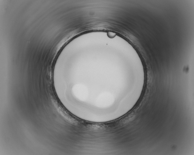 X0000114151234200911051435