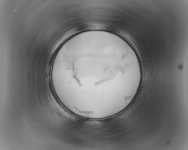 X0000114151235200911051435