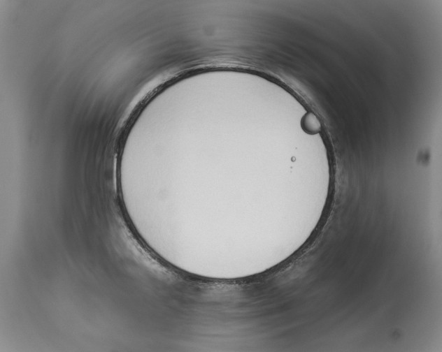 X0000114151238200911051435