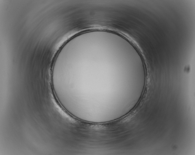 X0000114151239200911051435