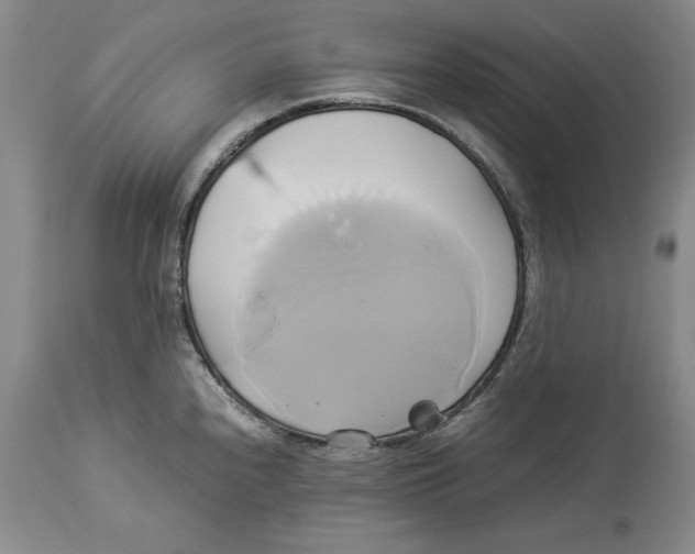 X0000114151240200911051436