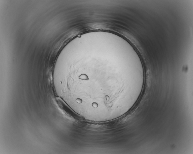 X0000114151241200911051436