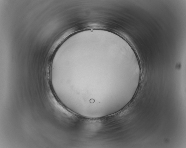 X0000114151243200911051436