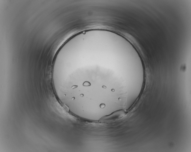 X0000114151244200911051436