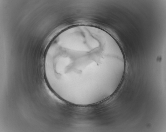 X0000114151247200911051436