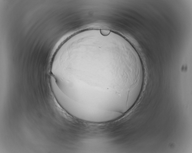 X0000114151248200911051436