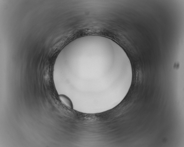 X0000114151250200911051435