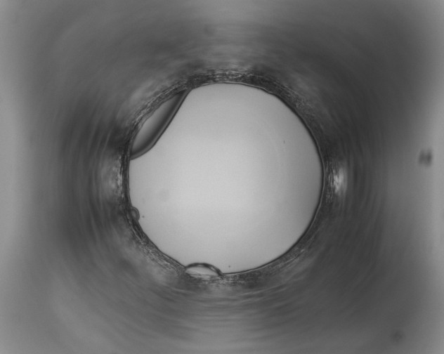 X0000114151252200911051435