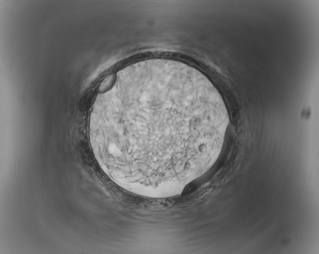 X0000114151255200911051435