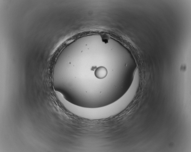 X0000114151256200911051435