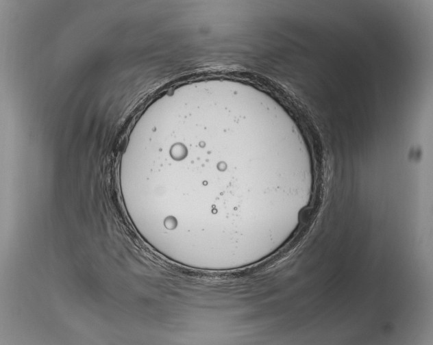 X0000114151257200911051435