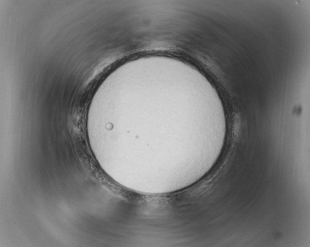 X0000114151258200911051435