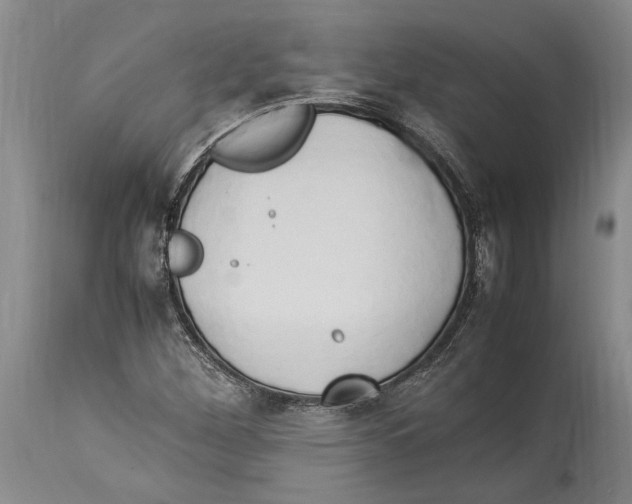 X0000114151260200911051435