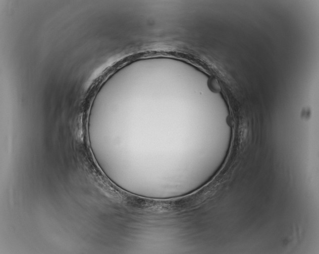 X0000114151262200911051435