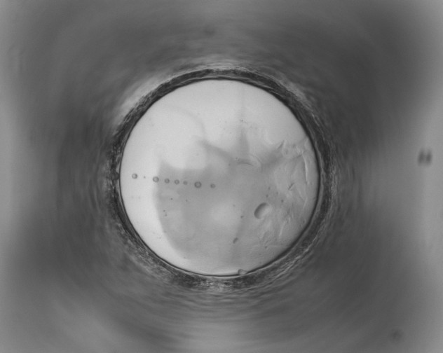 X0000114151263200911051435