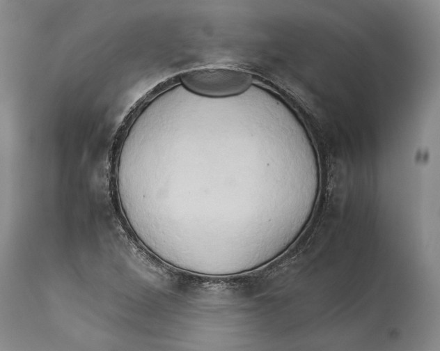 X0000114151264200911051435