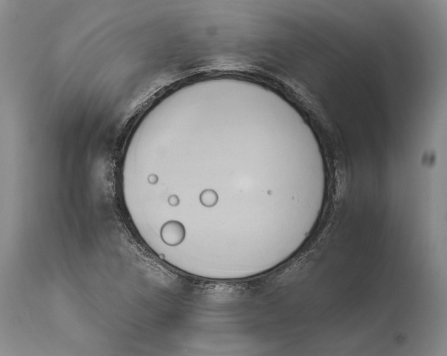 X0000114151266200911051435