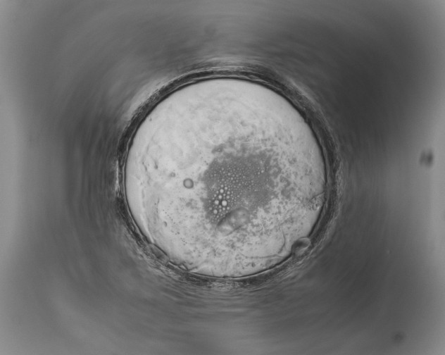 X0000114151267200911051435