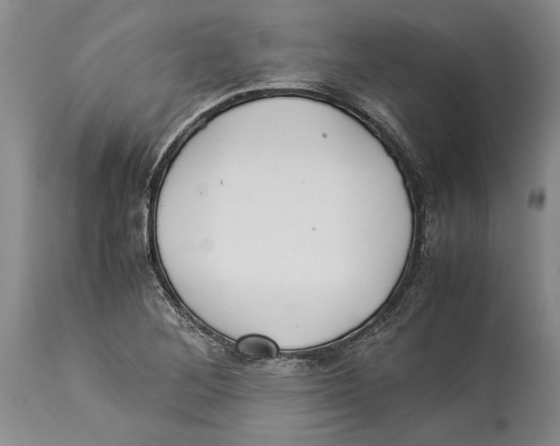 X0000114151268200911051435