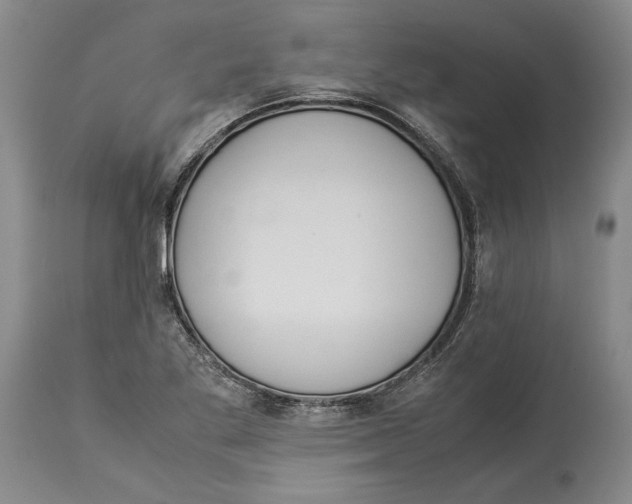 X0000114151269200911051435