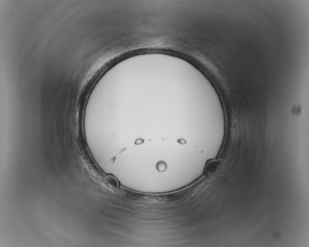 X0000114151270200911051434