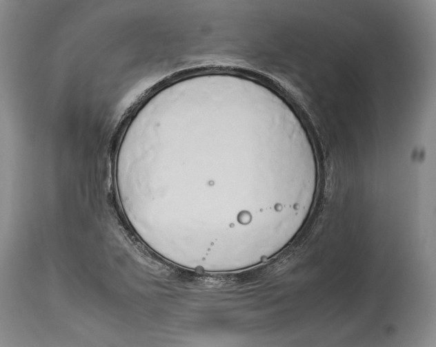 X0000114151271200911051434