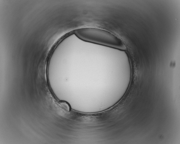 X0000114151272200911051434