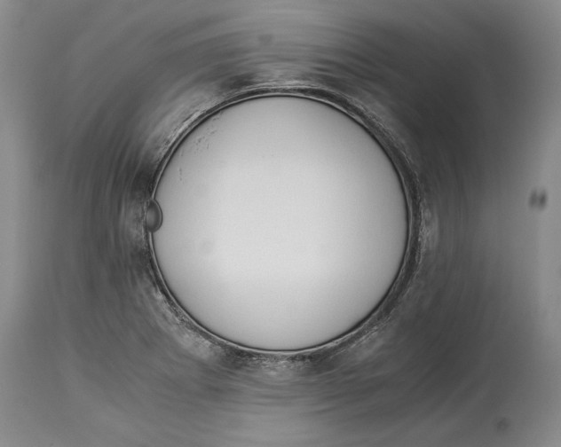 X0000114151273200911051434