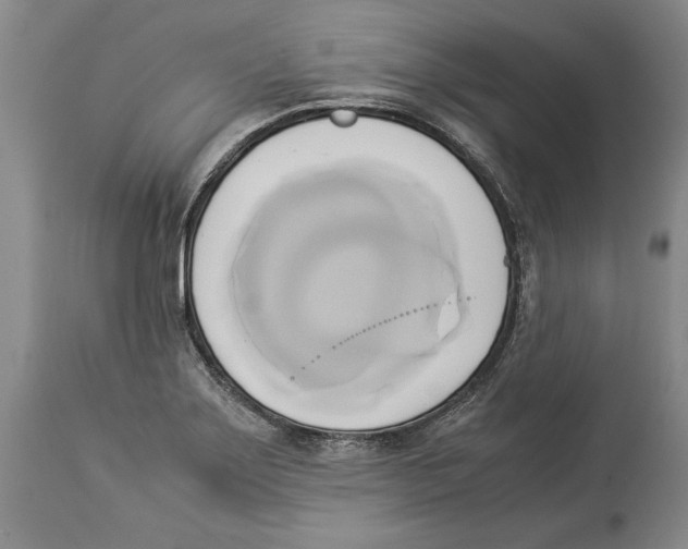 X0000114151275200911051434