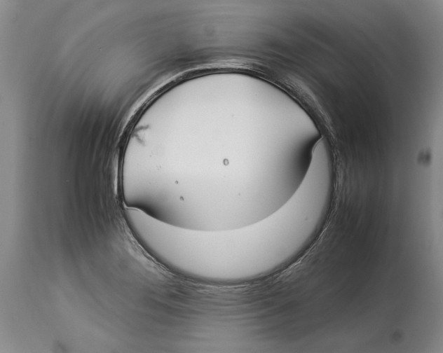 X0000114151276200911051434