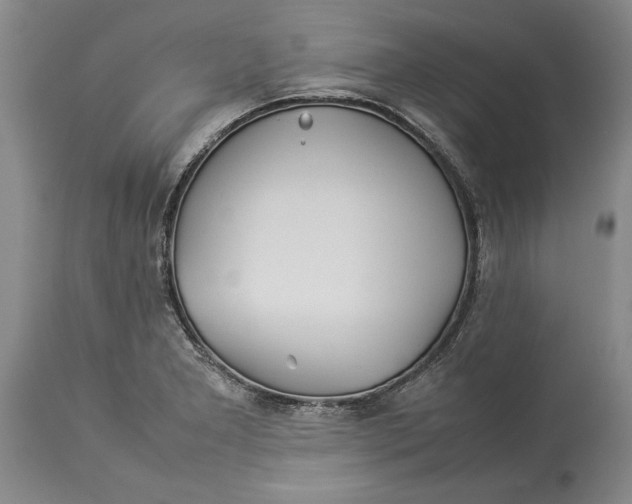 X0000114151277200911051434