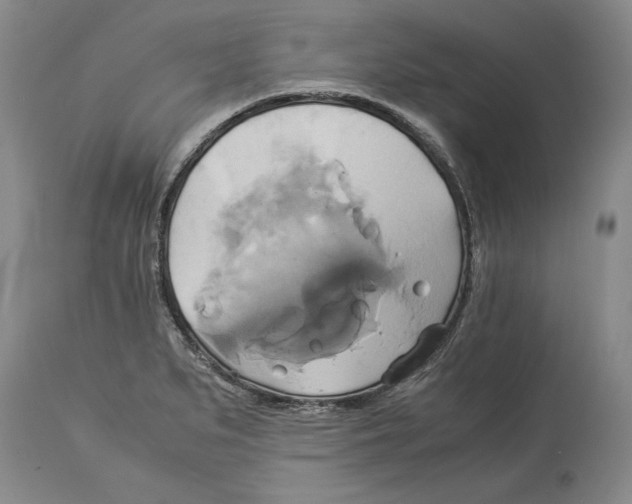 X0000114151279200911051434