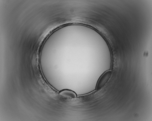 X0000114151280200911051434