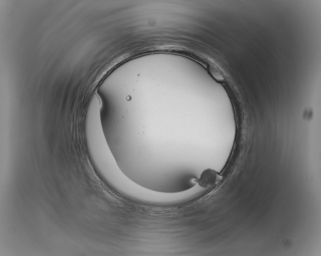 X0000114151281200911051434