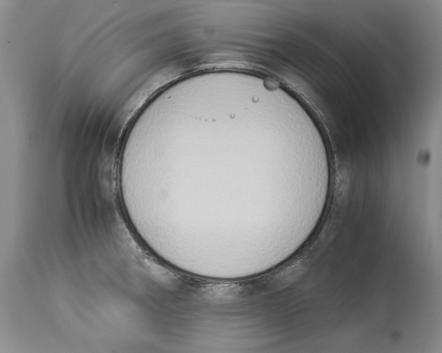 X0000114151282200911051434