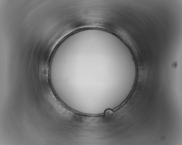 X0000114151284200911051434