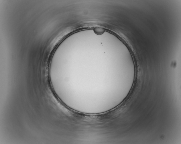 X0000114151285200911051434