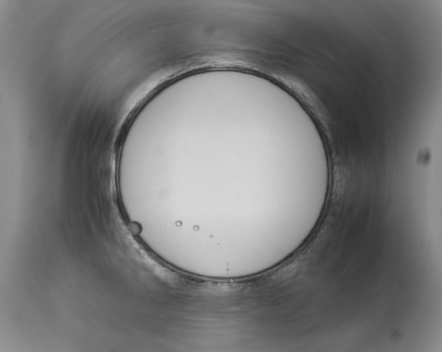 X0000114151286200911051434