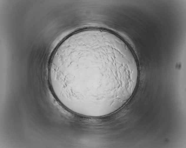 X0000114151287200911051434