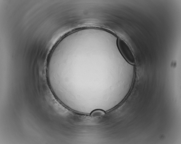 X0000114151288200911051434