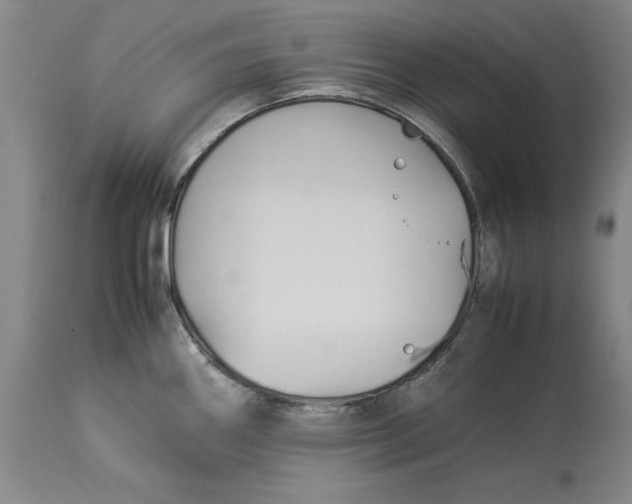 X0000114151290200911051434