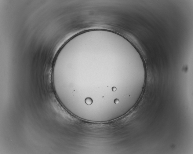 X0000114151292200911051434
