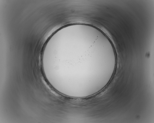 X0000114151293200911051434