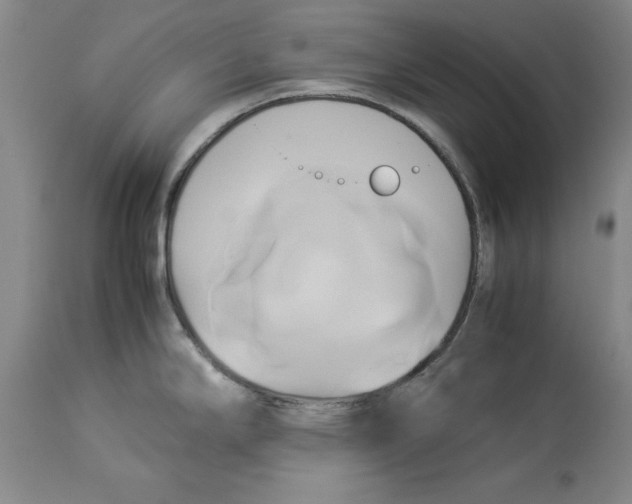 X0000114151294200911051434