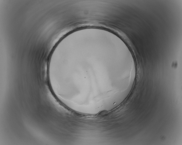 X0000114151295200911051434